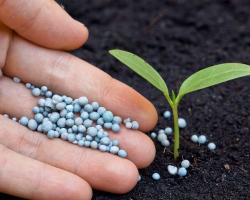 185ed2786f1a0dcaeef075f5605b4a49