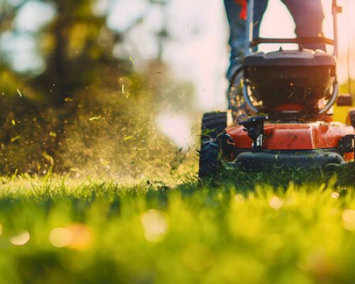 360_F_731366266_8kUOFPEc1zDVXBQFts3Q1lpnAFXpLYsN