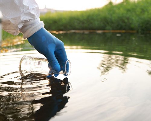 Sewage-water-purification