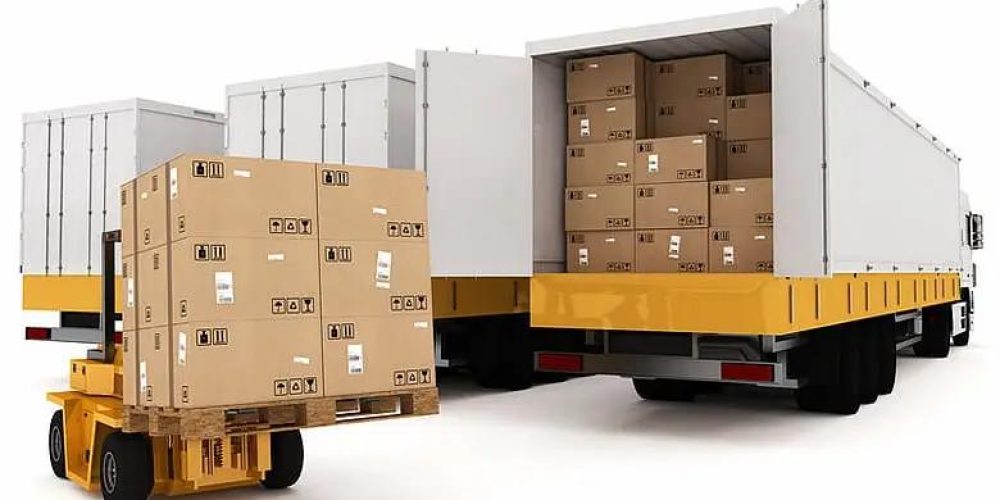 WhatsApp Image 2025-11-14 at 9.22.31 PM (1)