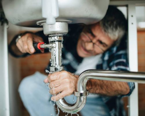 Plumber fixing the kitchen sink