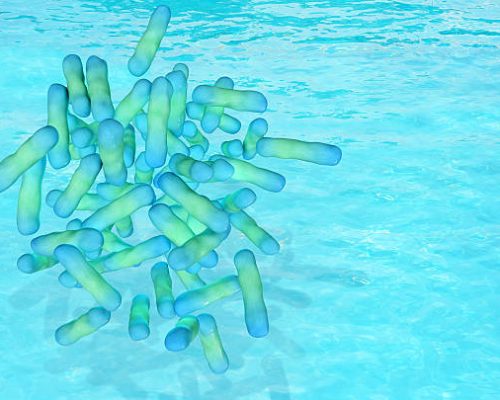 Legionella - 3d rendered illustration