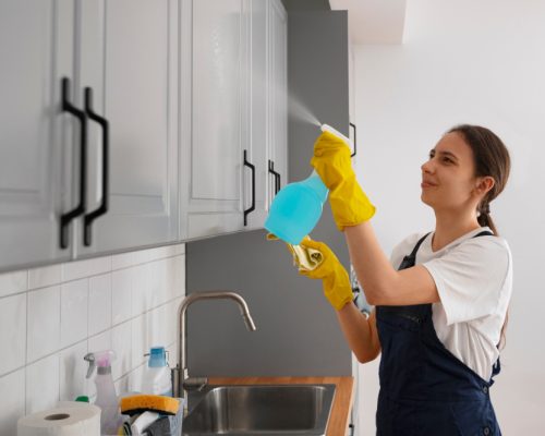 kitchen-cleaning-service-in-Kolkata