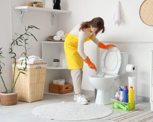 shutterstock_2455407615